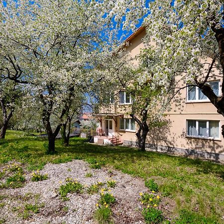 Casa Cu Cires Brasov Apartment Ngoại thất bức ảnh