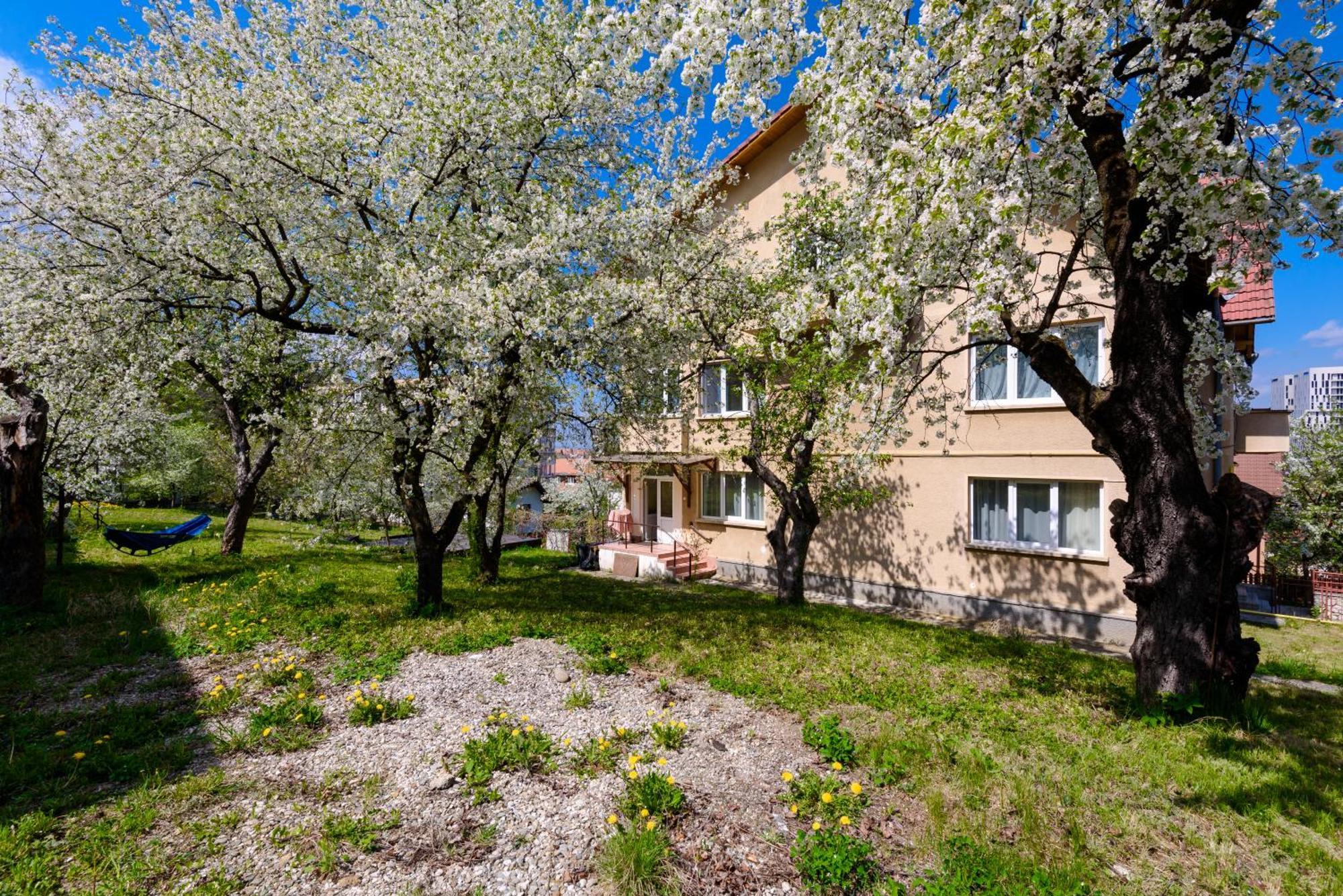 Casa Cu Cires Brasov Apartment Ngoại thất bức ảnh