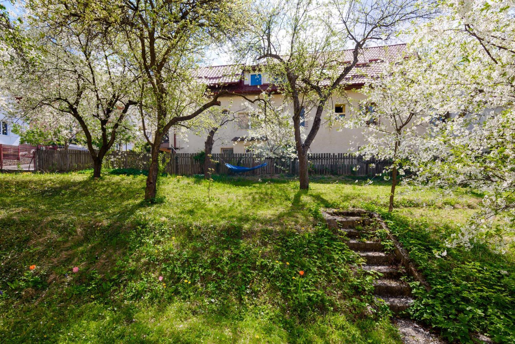 Casa Cu Cires Brasov Apartment Ngoại thất bức ảnh