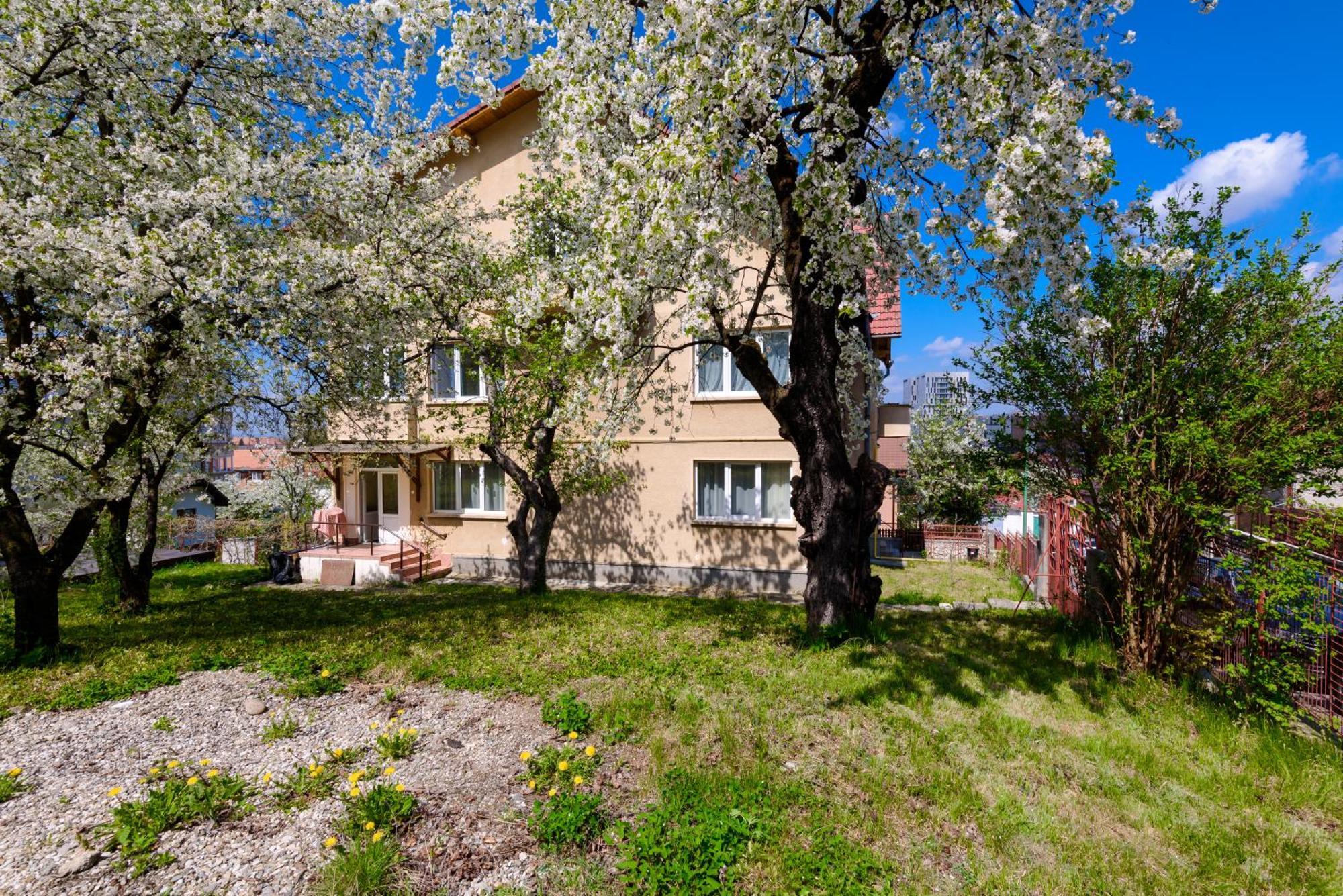 Casa Cu Cires Brasov Apartment Ngoại thất bức ảnh